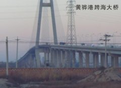 妖精视频网站入口案例